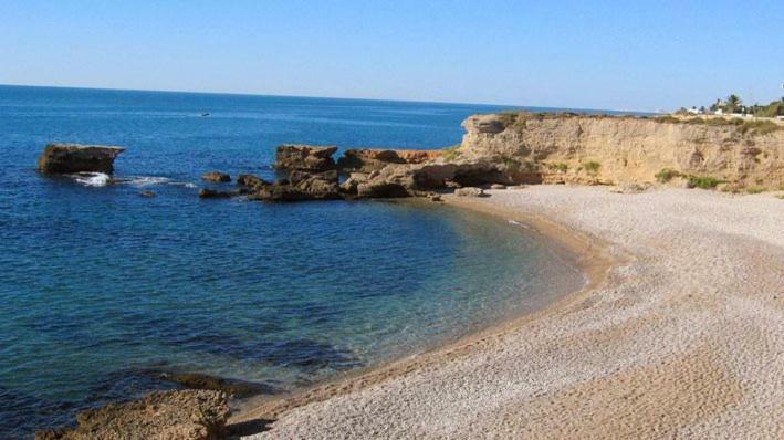 Adaptados 4 Vinarós Dış mekan fotoğraf